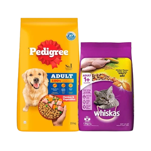 Pet Zone